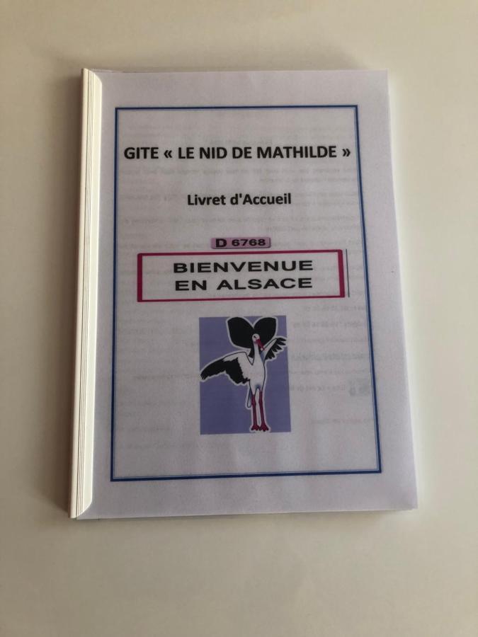 Le Nid De Mathilde- 3 Etoiles Apartman Colmar Kültér fotó