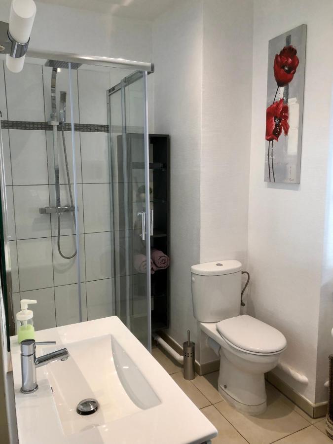 Le Nid De Mathilde- 3 Etoiles Apartman Colmar Kültér fotó